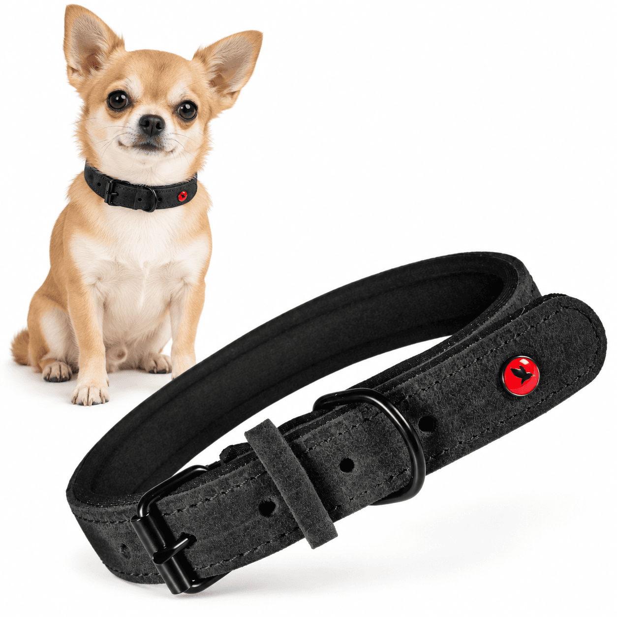 ZOLUX Komfort-Lederhalsband für Hunde, 17–24 cm, 14 mm, schwarz