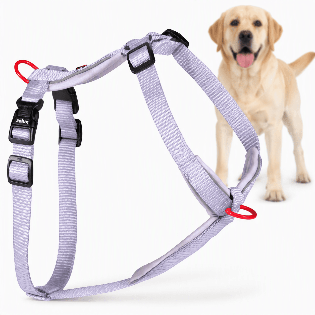 ZOLUX Premium-Nylon-Hundegeschirr, Größe L/XL, 65–97 cm, 25 mm, lila