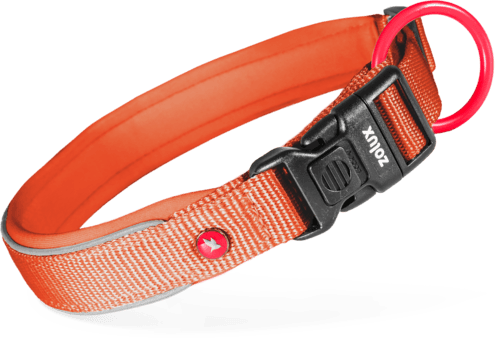 ZOLUX Premium-Nylon-Hundehalsband, Größe XS, 30–35 cm, 15 mm, rostbraun