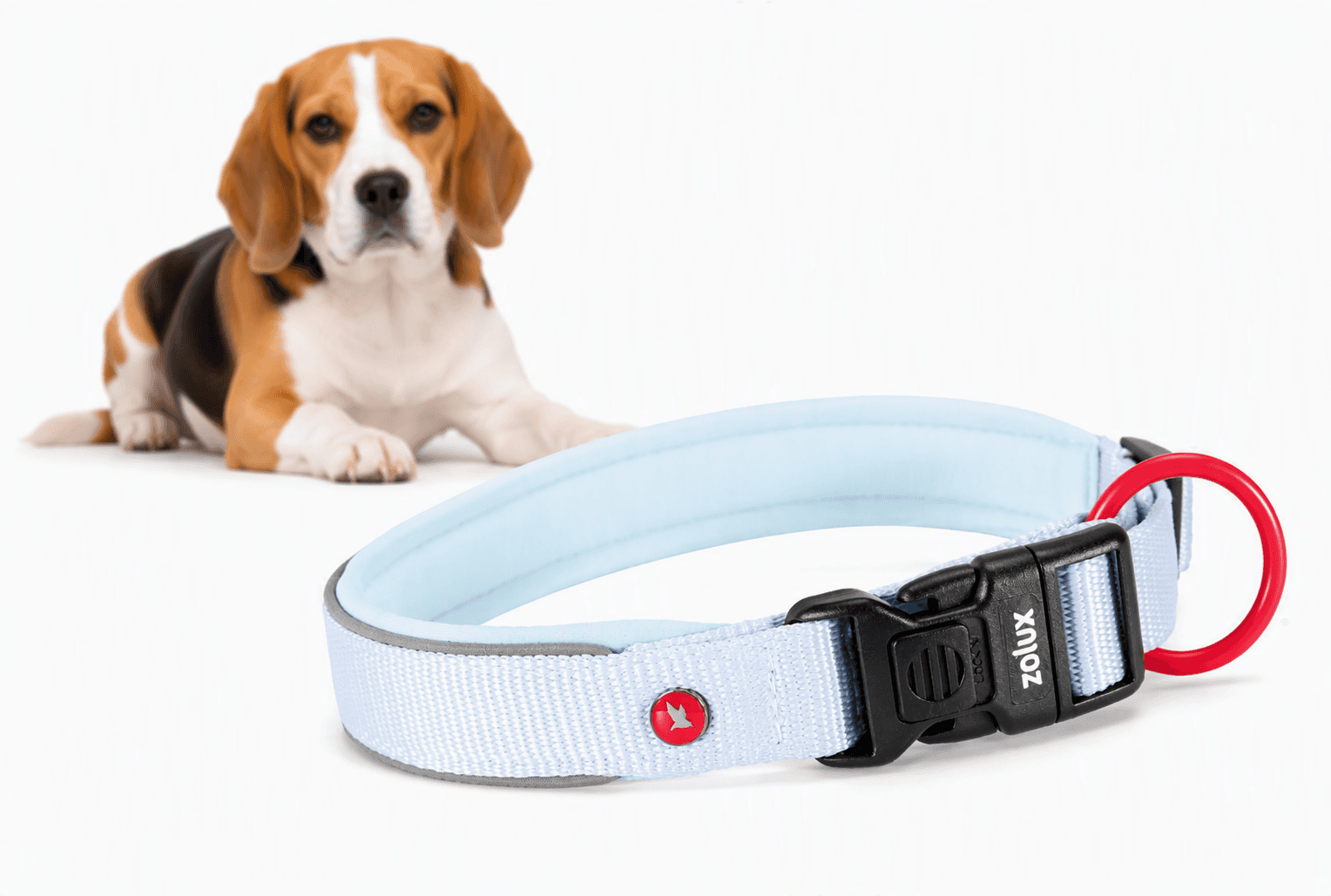 ZOLUX Premium-Nylon-Hundehalsband, Größe S, 35–40 cm, 20 mm, hellblau