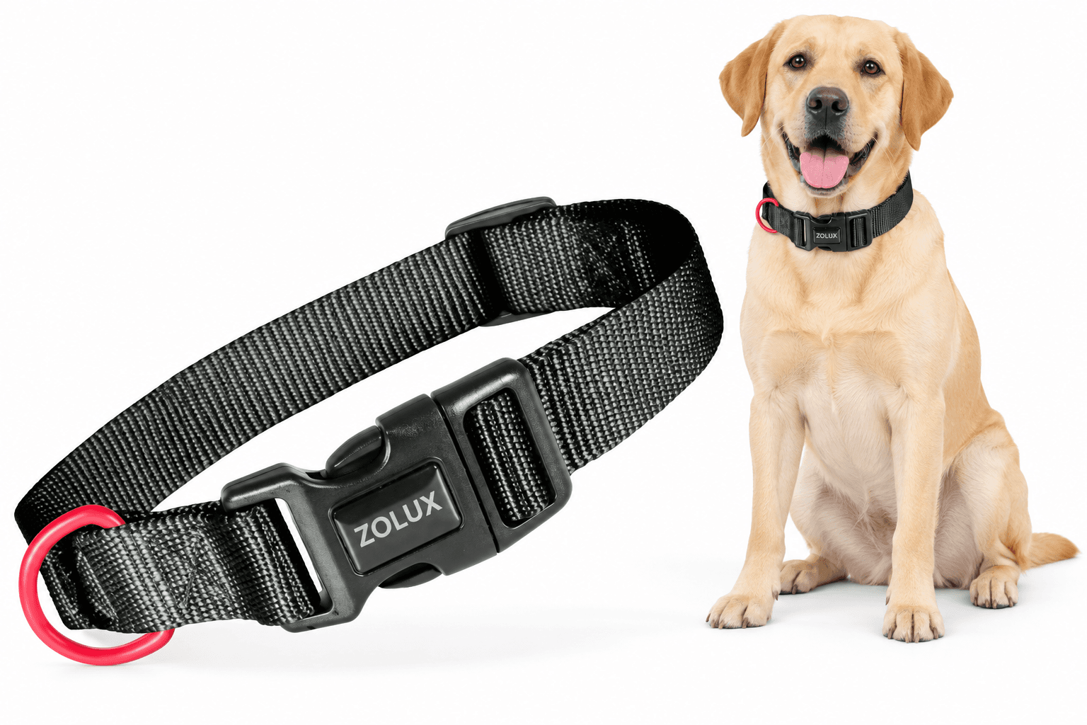 ZOLUX Klassisches Nylon-Hundehalsband, 37–58 cm, 25 mm, schwarz