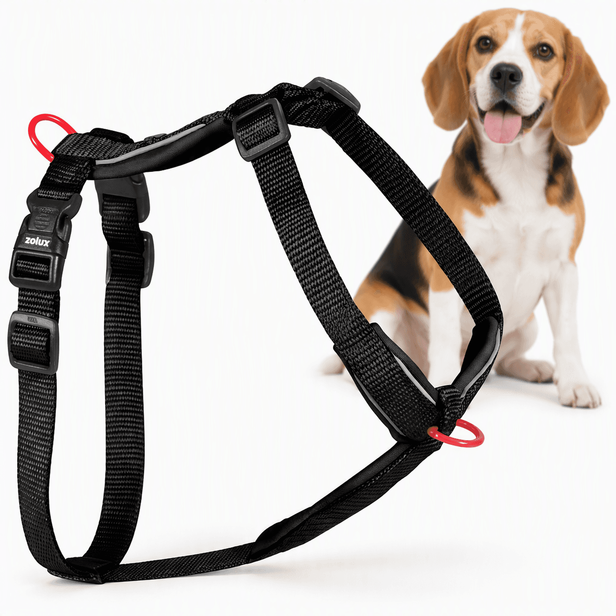 ZOLUX Premium-Nylon-Hundegeschirr, Größe M, 50–74 cm, 20 mm, schwarz