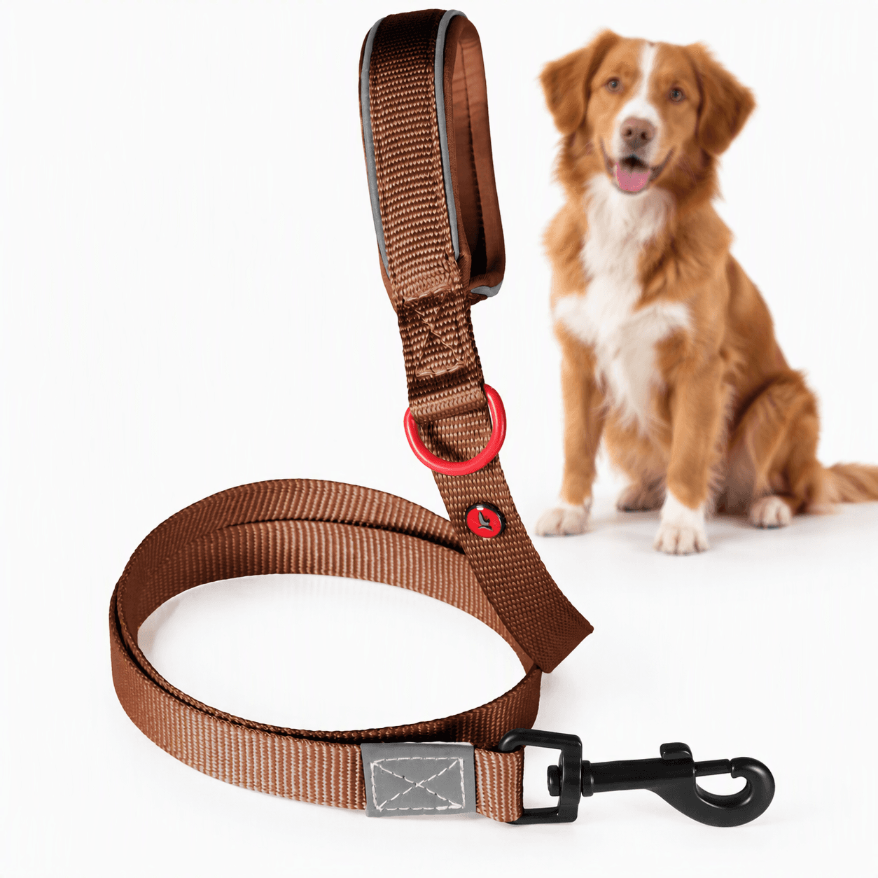 ZOLUX Premium-Nylon-Hundeleine, Größe M, 1,2 m, 20 mm, mocha