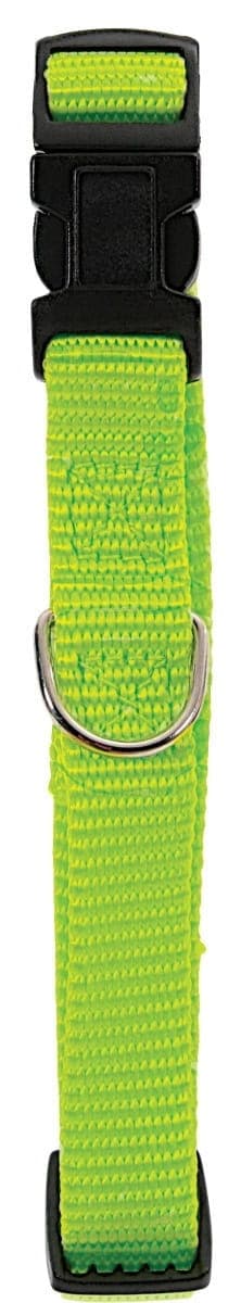 ZOLUX – Verstellbares Nylonhalsband 25 mm, Farbe: Hellgrün