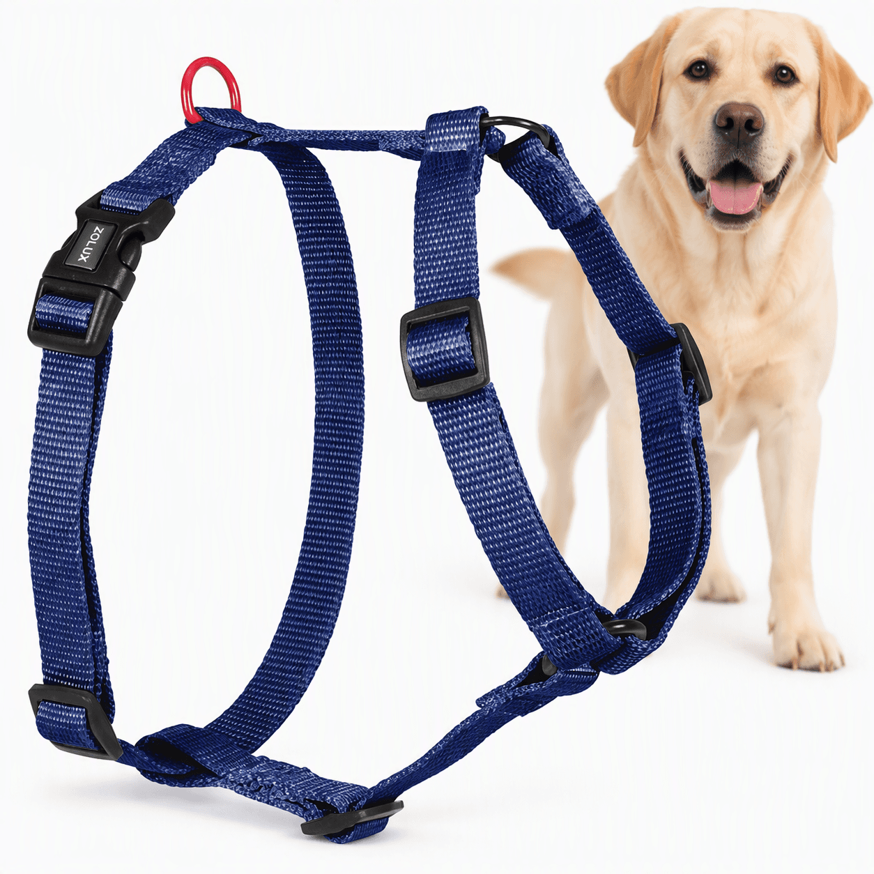 ZOLUX Klassisches Nylon-Hundegeschirr, 60–89 cm, 25 mm, marineblau