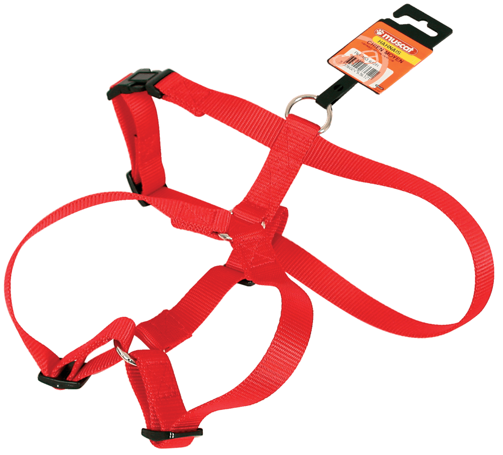 ZOLUX Nylon-Hundegeschirr, verstellbar 40–60 cm, 20 mm, rot